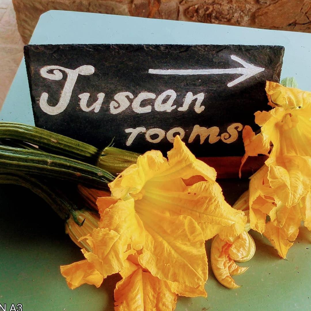 Tuscan Rooms Greve in Chianti Eksteriør billede