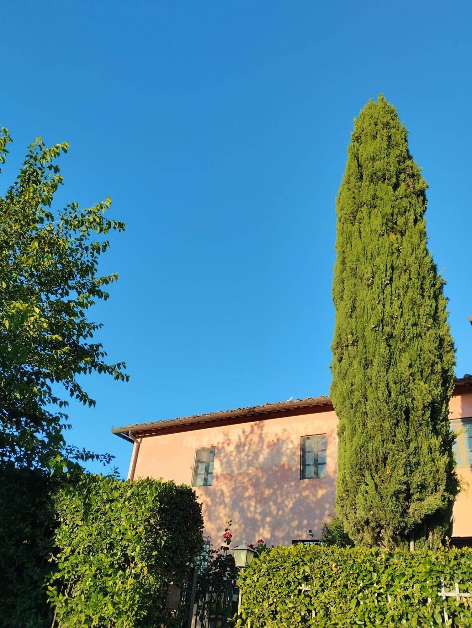Tuscan Rooms Greve in Chianti Eksteriør billede